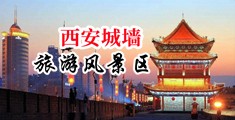 丰满无毛大阴户中国陕西-西安城墙旅游风景区