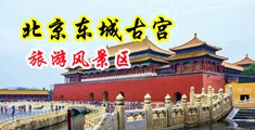 美女被暴操的淫水直流中国北京-东城古宫旅游风景区